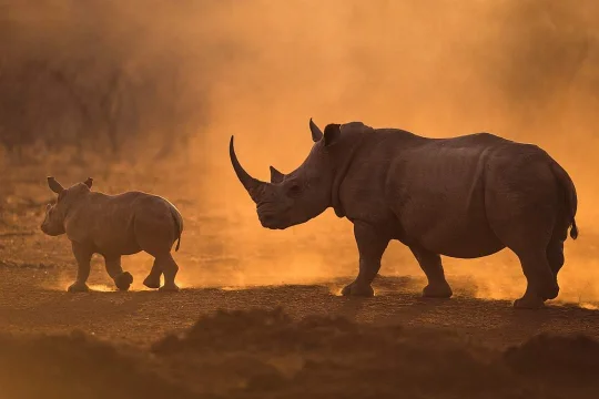 IMG 20250216 WA0145 Klipco Tours & Safaris Namibia