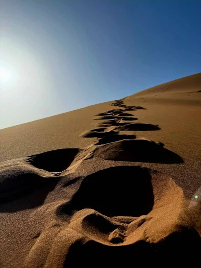 PHOTO 2025 02 12 08 09 03 2 Klipco Tours & Safaris Namibia