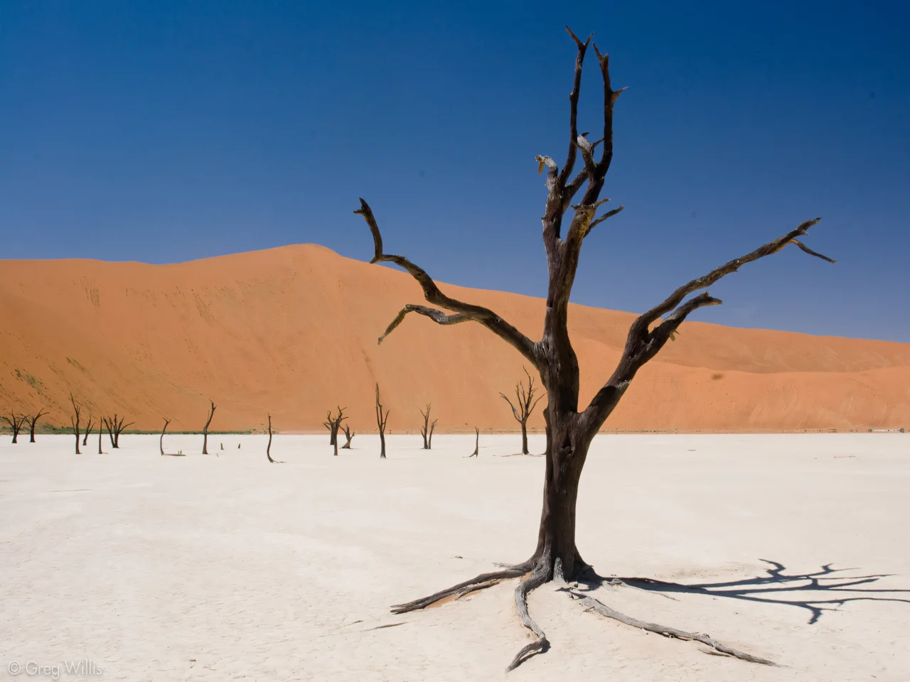 Klipco Tours & Safaris Namibia