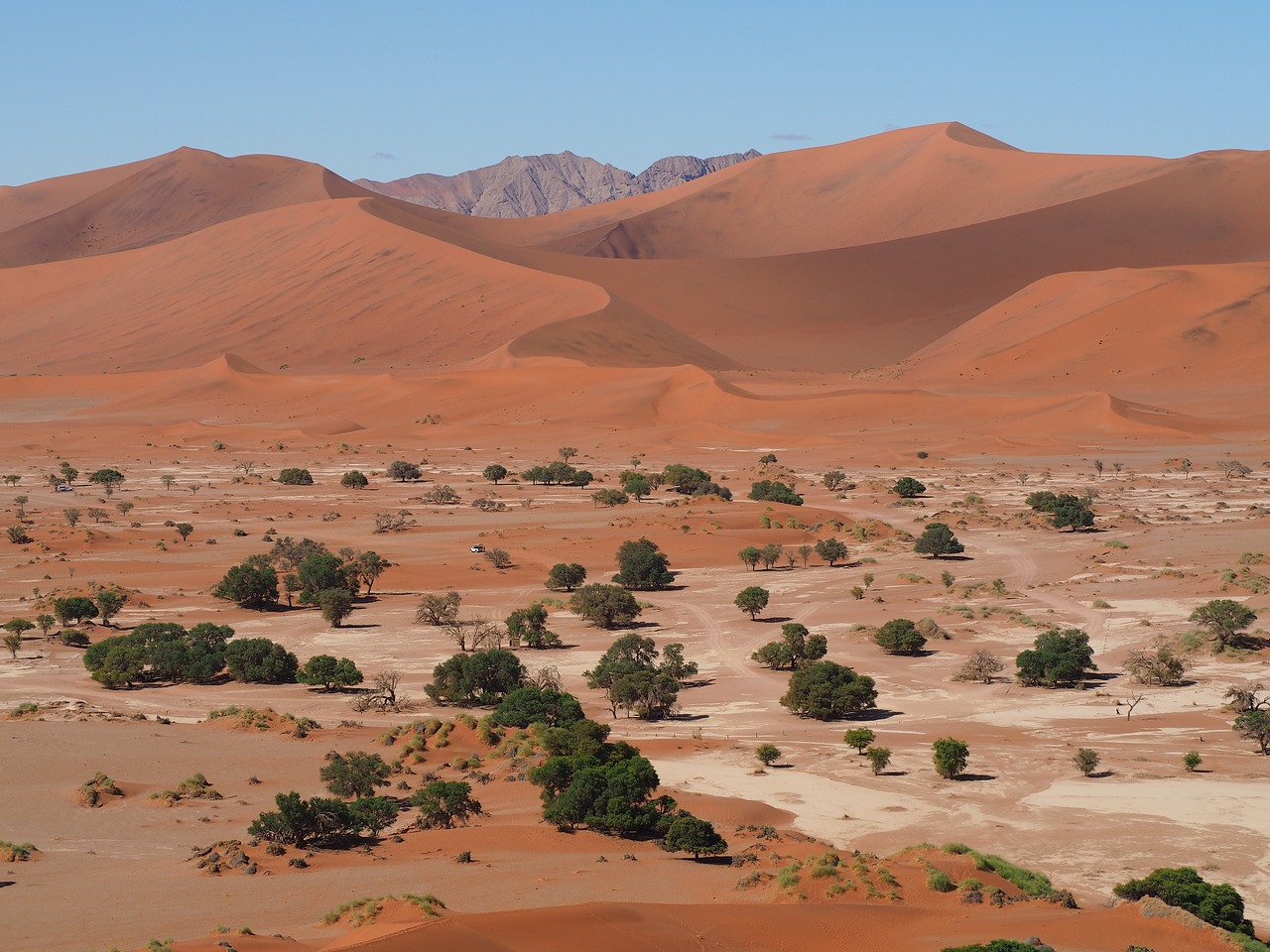 Home 6 Sossusvlei