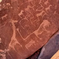 PHOTO 2025 02 12 08 09 08 3 r2nfa9w7ea9fyk55hhkpk4lnmpcag9pmktemqidyhc Klipco Tours & Safaris Namibia